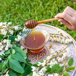 Clover Honey